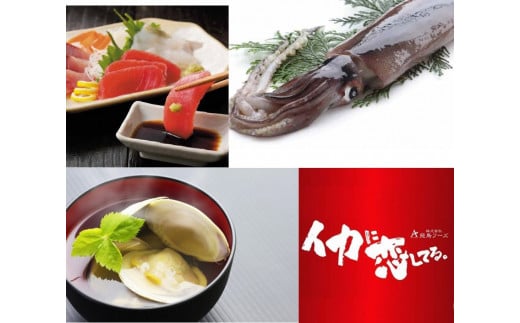 新潟 見附市 魚介類 水産加工品「イカに恋してる。新鮮ないかとお出汁の詰め合わせセットC 」飛鳥フーズ イカ 工場直送 するめいか スルメイカ 刺身 海鮮 海の幸 塩辛 フライ 煮物 姿焼き いかめし イカ焼き スルメイカ 焼き物 フライ 天ぷら