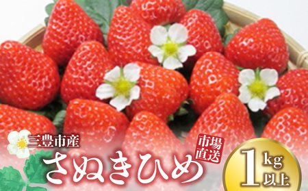 【ふるさと納税】【2024年分】【1月中旬より発送】三豊市産【市場直送 さぬきひめ 1.0kg以上】