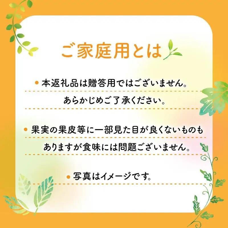 ご家庭用　せとか　約3kg【2027年2月中旬～2027年3月下旬配送】 せとか