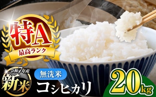 新米 無洗米 令和7年産 千葉県産 コシヒカリ 20kg  【 10月より発送 】 | コメ こめ お米 白米 ふっくら もちもち こしひかり おにぎり お弁当 千葉ふるさと蔵 イチオシ 千葉県 君津市 きみつ