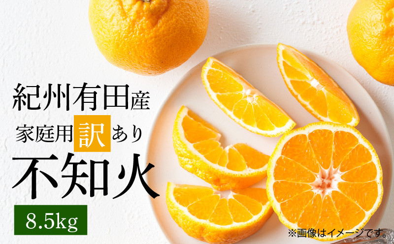 
                  【2027年先行予約】紀州有田産 不知火 (しらぬい)【家庭用 訳あり】8.5kg_G7359
                