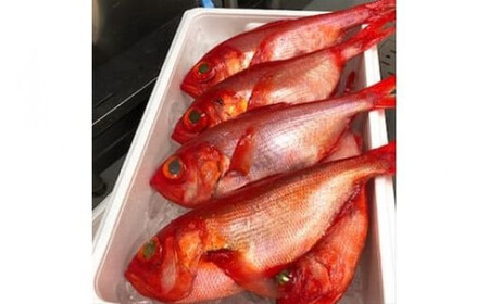 生から湯煎で仕上げる、金目鯛の煮付け【切身2枚】【キンメ きんめ お取り寄せ 御中元 お中元 お歳暮 父の日 母の日 贈り物 日本酒 焼酎】【稲取産 高級地金目使用】【ふるさと納税】【神奈川県小田原市