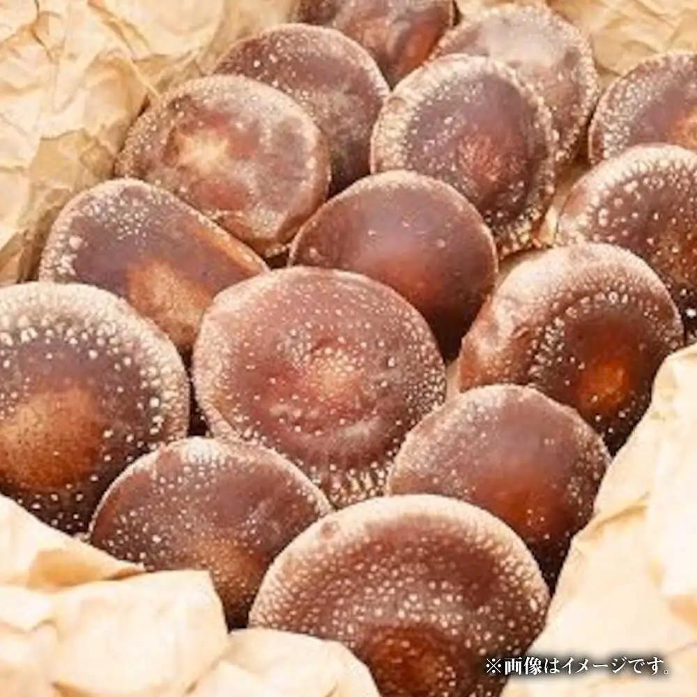 【訳あり】原木 生しいたけ 約1kg しいたけ [BNAU005]