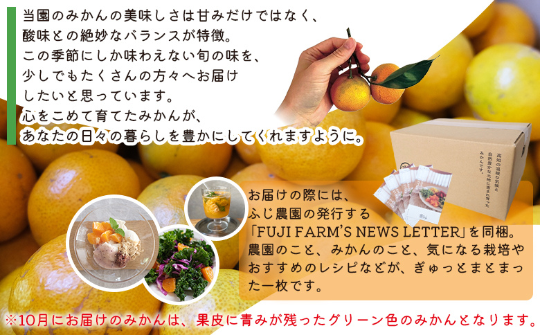 【3回定期便】ふじ農園の露地みかん 訳あり品 10kg(2S～M) - 5kg×2箱 計10kg 国産 小玉 蜜柑 ミカン 柑橘 果物 フルーツ 訳アリ ご家庭用 自宅用 ふじ農園 高知県 香南市【常