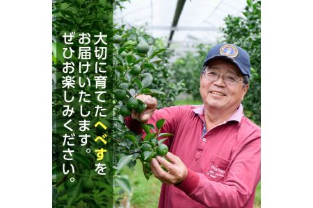 ＜先行予約受付中！2024年6月中旬～7月の間に順次発送予定＞期間限定！門川町産へべす(1kg)柑橘 果汁 国産 特産品 宮崎県 門川町【AM-1】【川崎農園】