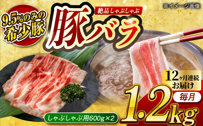 
            【月1回約1.2kg×12回定期便】大西海SPF豚 バラ（しゃぶしゃぶ用）計約14.4kg 長崎県/長崎県農協直販 [42ZZAA099]
          