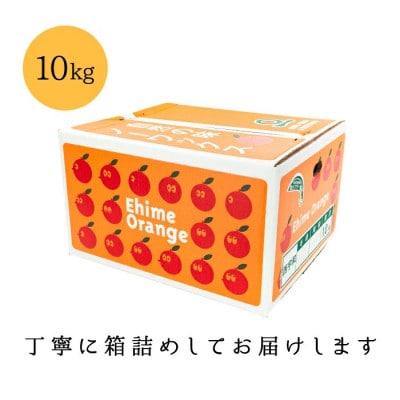 【愛媛が誇る 高級みかん 希少品種】訳あり 甘平 (かんぺい) 10kg【H20−68】【1620339】