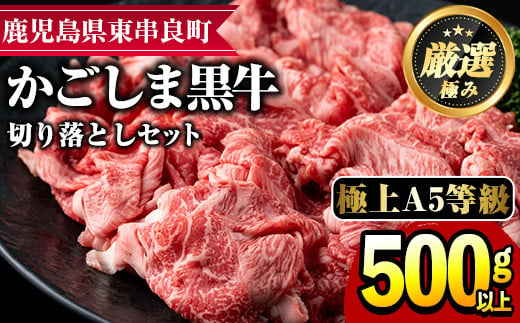 
【0131703a】鹿児島県産黒毛和牛！A5等級の切り落とし(約500g)牛肉 肉 切落し 切り落し 和牛 冷凍 国産 お肉 牛丼 野菜炒め カレー 冷凍【前田畜産たかしや】
