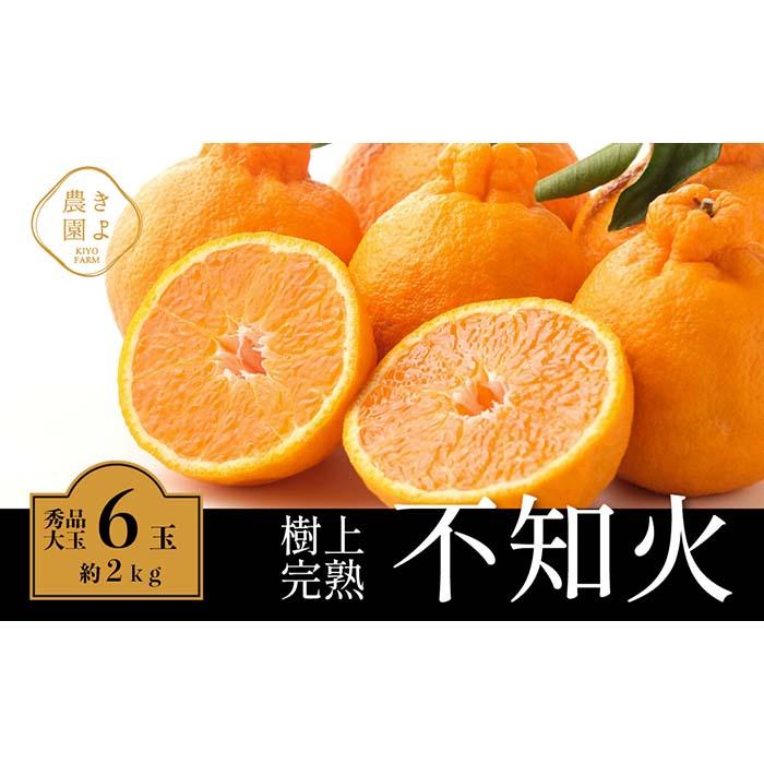【ふるさと納税】不知火 希少な樹上完熟！ 秀品大玉 6個入 (約2kg)　［2027年2月末頃から3月末頃まで発送］［KT2］ | フルーツ 果物 くだもの 食品 人気 おすすめ 送料無料