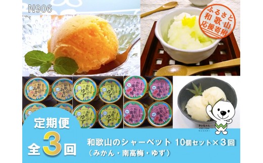 N906 【全3回定期便】和歌山のシャーベット10個セット×全３回（みかん・南高梅・ゆず）有限会社しょう