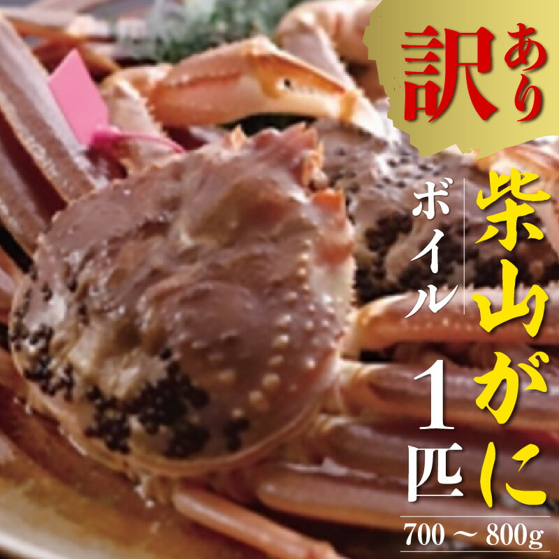 【ふるさと納税】【4月から値上げ↑】【訳あり】ボイル 柴山がに（冷凍）700g～800g 1匹 送料無料 番がに 松葉ガニ 松葉かに 松葉蟹 浜茹で カニ 茹で 蟹味噌 かにみそ カニスキ 蟹鍋 カニしゃぶ 年末 かに 蟹 国産 ズワイガニ 蟹しゃぶ 香住 規格外 欠足 傷 汚れなど 04-07