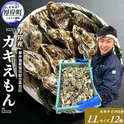 【ふるさと納税】厚岸産 ブランドかき カキえもん LLサイズ 12個 牡蠣 魚介類 　お届け：2024年11月～2025年7月30日まで