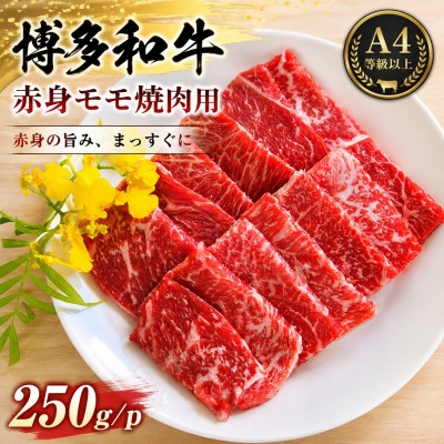 
                  この味プレミアム!＜A4～A5＞博多和牛赤身モモ焼肉用　250g/p(大野城市)【1770968】
                