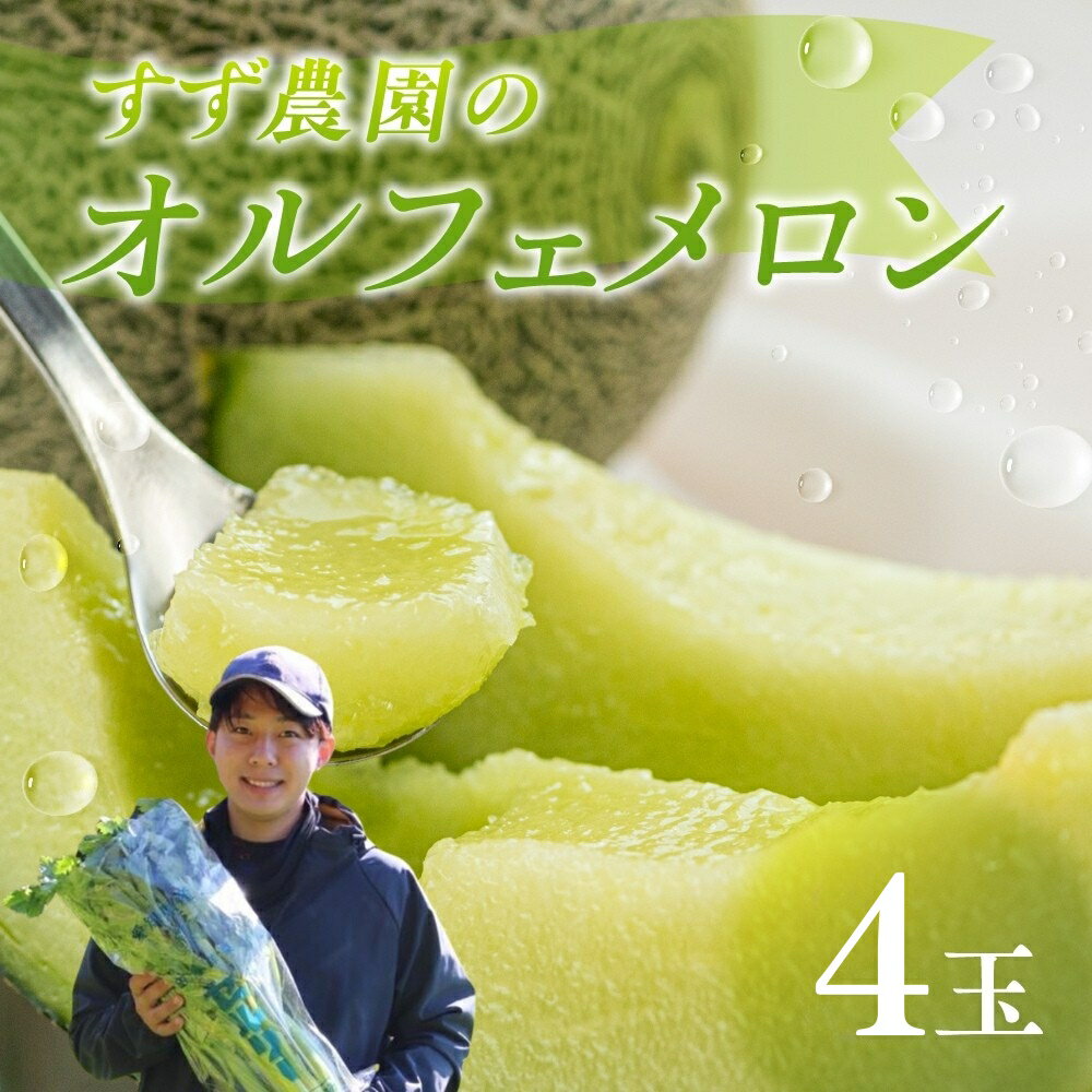 【ふるさと納税】【先行予約】すず農園 オルフェメロン4玉 オルフェメロン メロン ハウスメロン デザート フルーツ 果物 旬 お盆 愛知県 田原市 渥美半島 メロン 糖度 メロン 青肉 ド甘い 暑さ 対策 暑さ対策