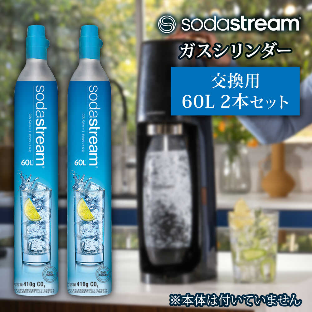 【ふるさと納税】ソーダストリーム ガスシリンダー 交換用 60L 2本セット / SodaStream 炭酸水 水 ソーダ水 回収用送り状付き【ソーダストリーム】[MDN011]