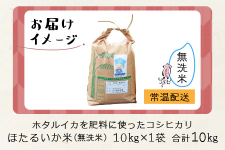 【先行予約】【新米】ほたるいか米（新米/無洗米１０kg）※10月以降順次発送