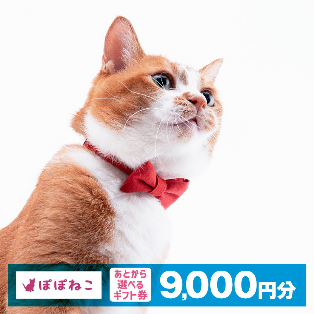 【ふるさと納税】ぽぽねこギフト券（封筒タイプ）9,000円分「共通返礼品」 金券 商品券 猫 ネコ 首輪 迷子札 鈴 ハーネス リード ペット用服 猫用服 猫服 保護服 エリザベスカラー ペット ペット用品