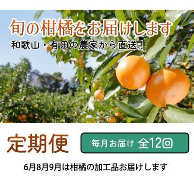 ふるさと納税 広川町 【発送月固定定期便】家庭用 柑橘定期便M(毎月)全12回 |  | 01