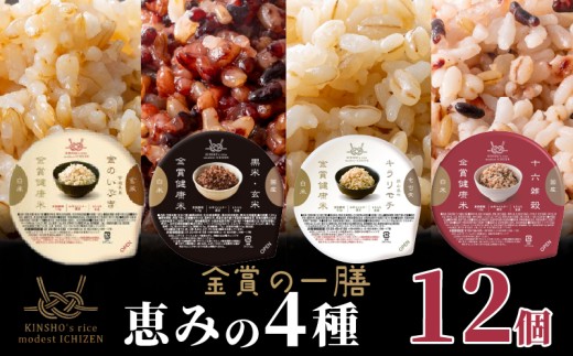 ご飯パック 金賞 健康米 食べ比べ 恵みの4種セット 黒米 金のいぶき キラリモチ 十六雑穀 120g×12個入り 国産 レンチン もち麦 軽食 夜食 簡単 白米 麦 食物繊維 ビタミン 御飯 ごはん パック ご飯 パックライス