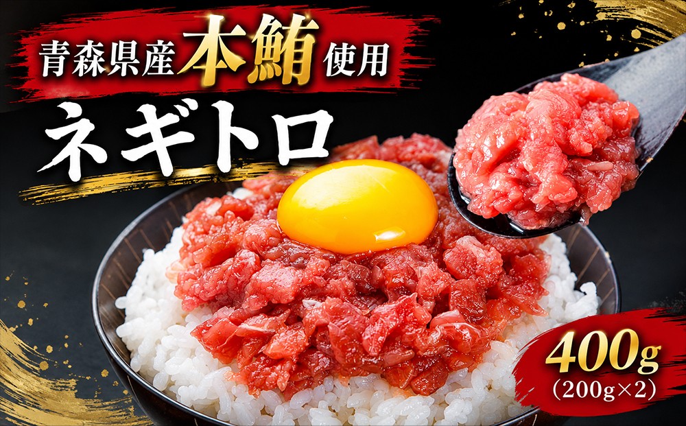 
                  【ふるさと納税】本マグロ ネギトロ 400g（200g×2P) 鮮魚 海鮮 本鮪 マグロ ふるさと納税 マグロ マグロネギトロ ねぎとろ マグロ刺身 刺身 むつ市　ふるさと納税 魚介 海の幸 海産物
                