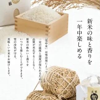令和8年産 特Aランク米 食べ比べセット 玄米 計20kg （ゆめぴりか・ななつぼし各5kg×2袋）【4月発送】 雪冷気 籾貯蔵 雪中米 北海道 nr-2618
