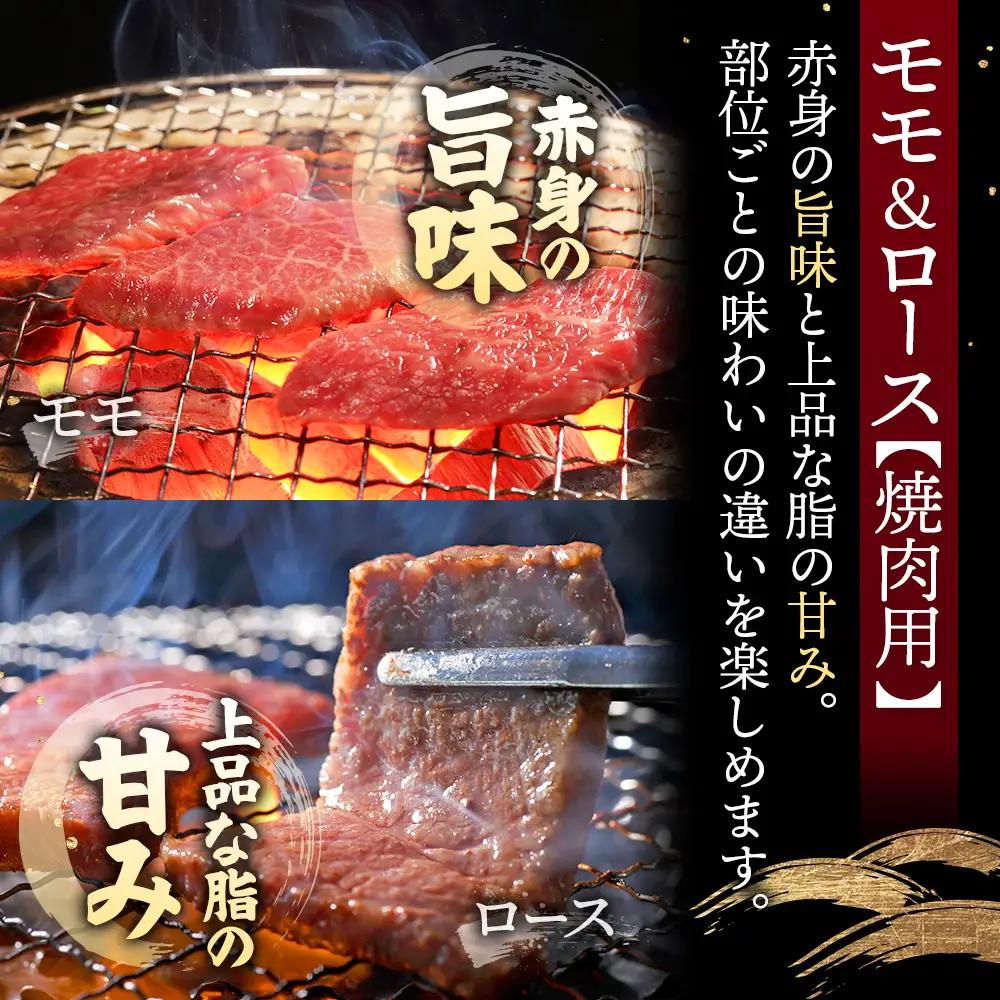 【古今東北】 宮城県産 特選仙台牛 A5ランク 美らいす和牛 焼き肉用セット（モモ・ロース） 480g（ロース 200g / もも 280g）【30106】