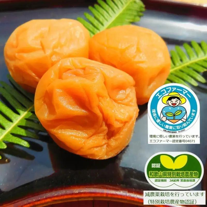 【7月より順次発送】昔ながらのすっぱい梅干 350g×2個 塩分 約18％ sakachu001A【sakachu001A】