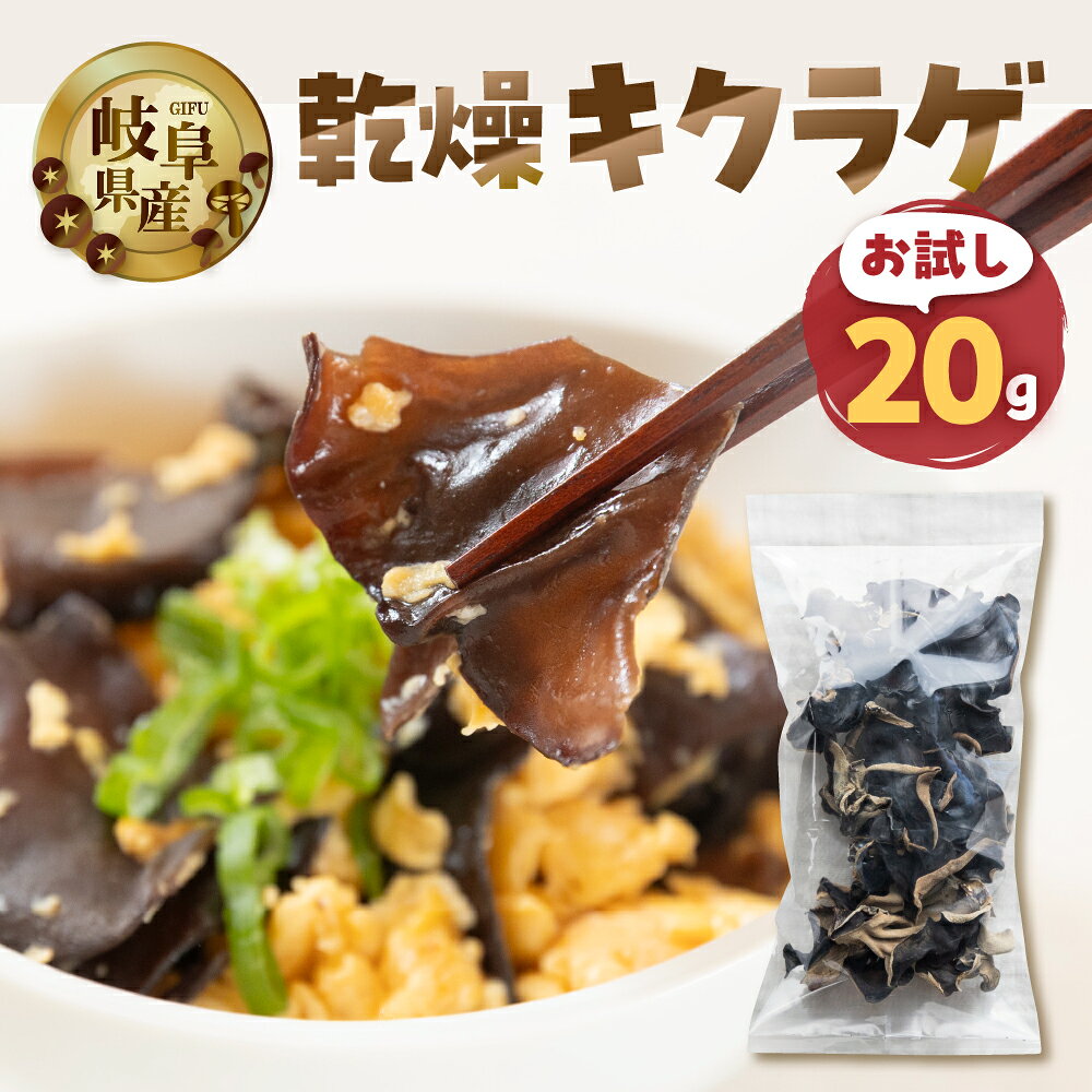 【ふるさと納税】【お試し】乾燥 キクラゲ 約 20g メール便 サイズ 混合 不揃い おまかせ 簡易梱包 訳あり 訳アリ 料理 野菜 栽培期間中 農薬不使用 岐阜県産 本巣市 国産 きのこ キノコ きくらげ 産地直送 新鮮 数量限定 冷蔵 モトスマッシュ [mt1918] 4000円 4千円