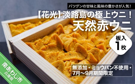 【無添加・ミョウバン不使用・7月末～9月初旬発送予定】淡路島の極上ウニ！天然赤ウニ（板入1枚）
