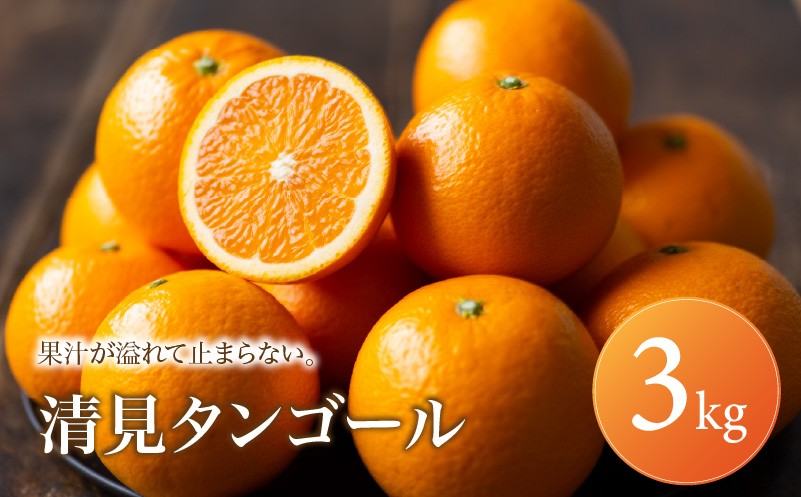 
                  清見タンゴール 家庭用 3kg 【2027年2月下旬頃から順次発送】 | 清見 タンゴール みかん ミカン mikan 蜜柑 訳ありフルーツ 柑橘 果物 おすすめ お勧め お取り寄せ ギフト 愛媛県 松山市
                