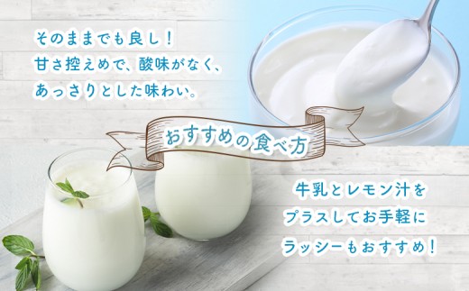 なかしべつヨーグルト 100g×12個