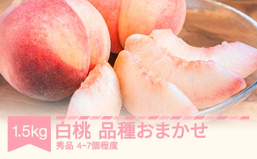 
                  【先行予約】 もも 品種おまかせ 白桃 秀品程度 約1.5kg 令和8年産 2026年産 tf-moxxx1500
                