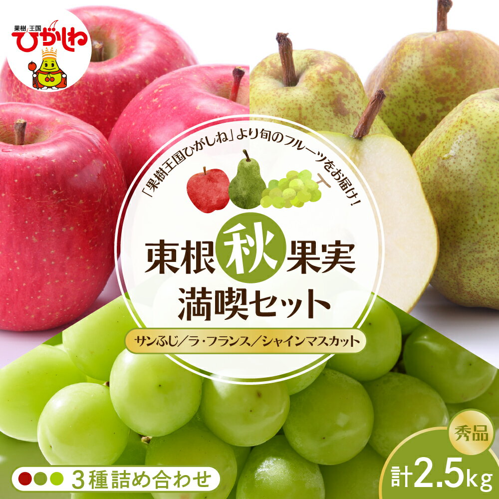 【ふるさと納税】 東根秋果実満喫セット 3種詰め合わせ 約2.5kg / りんご サンふじ 西洋内 洋なし ラフランス ぶどう シャインマスカット マスカット 果物 フルーツ くだもの 取り寄せ ご当地 特産 産地 直送 送料無料 山形県 東根市