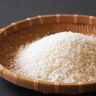 ふるさと納税 南魚沼市 【毎月定期便】特別栽培米南魚沼産こしひかり8割減 精米 10kg(5kg×2)全9回 |  | 02