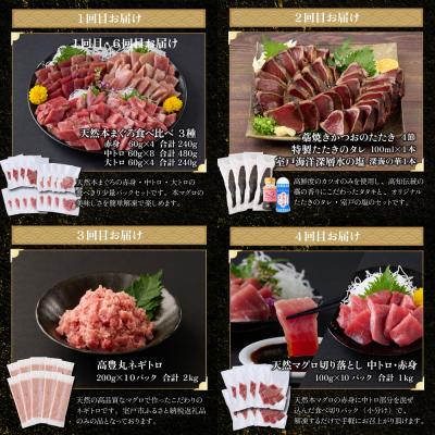 ふるさと納税 室戸市 【贅沢定期便「力」/全6回】タカシン水産厳選 高知の海鮮セット |  | 02