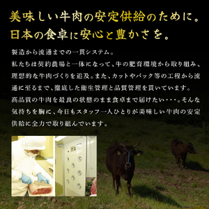 神戸牛 ステーキ 食べ比べ 7枚 Cセット 神戸牛