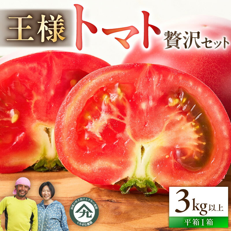 【ふるさと納税】 王様トマト 贅沢セット 3kg以上 トマト とまと 野菜 王様とまと 完熟 赤熟もぎり リコピン 美白効果 日持ちがよい 美味しい おいしい みずみずしい 期間限定 季節の野菜 旬のやさい くろぜむ農園 神奈川 三浦市 おすすめ ランキング プレゼント ギフト