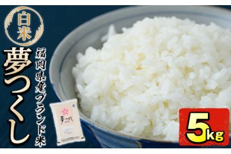 ＜令和8年産＞福岡県産ブランド米「夢つくし」白米(5kg)お米 白米 5キロ ごはん ご飯【ksg0370】【朝ごはん本舗】