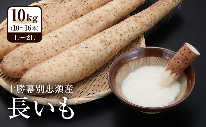 2026年12月発送 先行予約 十勝「忠類長いも」10kg (10～16本) L～2L［JA忠類］【 長芋 ながいも 山芋 芋 とろろ 野菜 根菜 産地直送 贈答 ギフト北海道 幕別 】