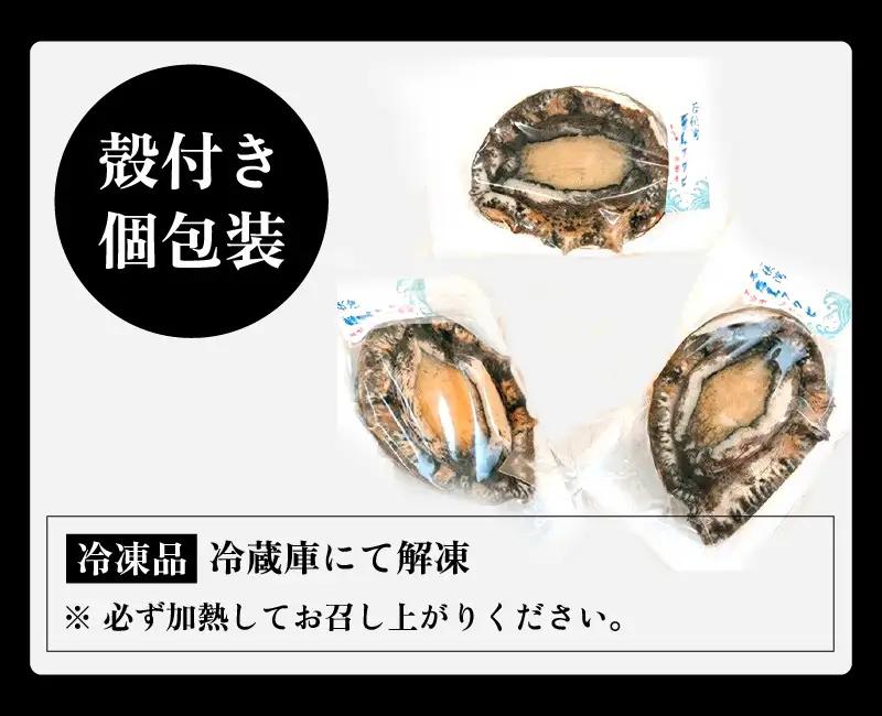 【訳あり】【天然・冷凍】日本海 若狭湾の黒アワビ 約500g（2～5個）【加熱用】【アワビ あわび】 [m17-b017]