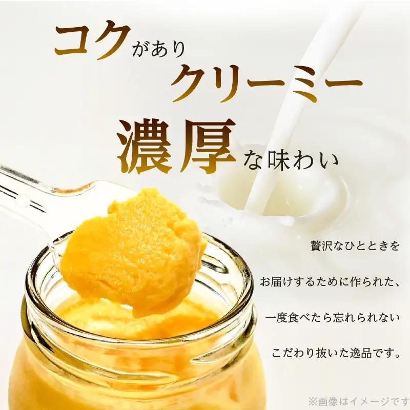S164-001-T02_【定期便2回】天草タマンゴプリン6個入り
