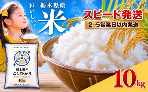 訳あり 栃木県産コシヒカリ 5kg×2 (10kg)  |  真岡市産 こしひかり コシヒカリ 銘柄 お米 米 おにぎり おむすび  ふるさと納税  栃木県 真岡市 送料無料