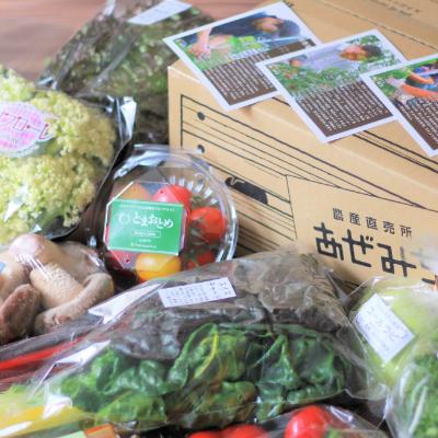 ふるさと納税 宇都宮市 農産直売所あぜみち 新鮮野菜詰め合わせ |  | 01