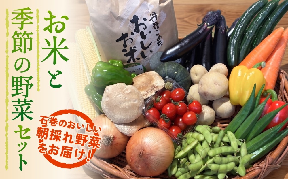 
                  石巻産 お米と季節の野菜セット 詰め合せ 朝採れ 旬の野菜 季節の野菜 やさい お野菜 野菜 ヤサイ 米 ひとめぼれ 5kg コメ 詰め合わせ 食材 新鮮 宮城 石巻 宮城県 石巻市
                