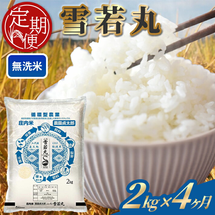 【ふるさと納税】≪4ヶ月定期便≫ 無洗米 雪若丸 2kg×4ヶ月連続 計8kg 令和7年産 山形県産 ご希望期間の毎月下旬にお届け 白米 庄内米 米 ごはん ご飯 一人暮らし 少人数 小分け 酒田市 庄内 山形県 東北 定期便 4回