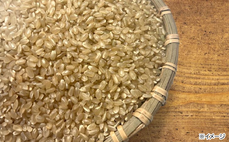 令和６年度産 新米 淡路島産「橙心(きぬひかり)」　玄米10kg　◆配送9月末～