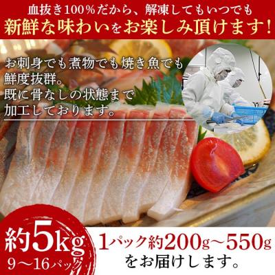 ふるさと納税 西予市 <異次元の鮮度!「超冷薫」冷凍カンパチ ロイン(5kg)>　かんぱち　海鮮　魚介　西予 |  | 03