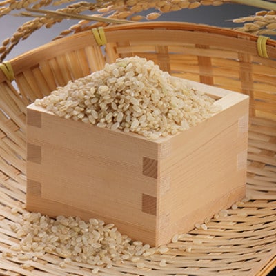 【毎月定期便】あきたこまち慣行栽培精玄米5kg全9回【配送不可地域：離島・沖縄県】
