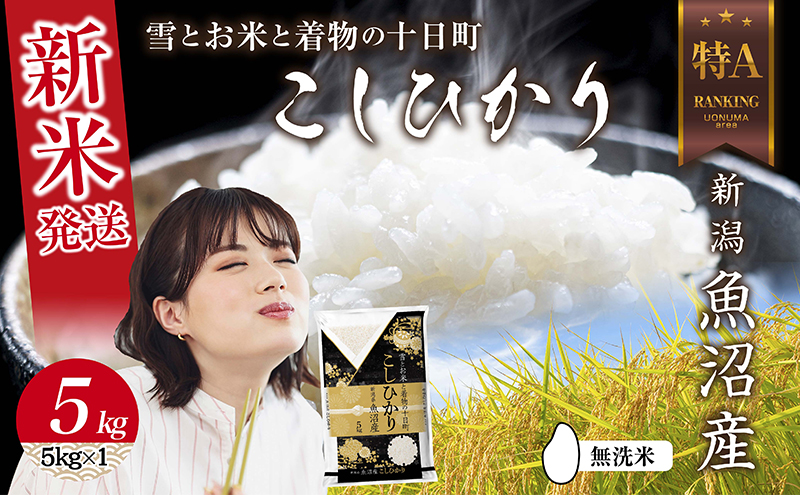 【新米発送】 無洗米 令和7年産 新潟県 魚沼産 コシヒカリ お米 5kg 精米済み（お米の美味しい炊き方ガイド付き） こめ 白米 新米 こしひかり 食品 人気 おすすめ 送料無料 魚沼 十日町 十日町市 産直