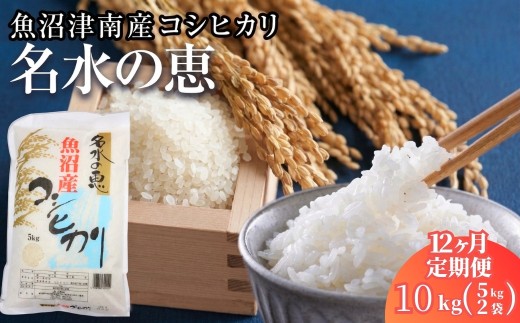 【コシヒカリ 先行予約】【12ヶ月定期便】 10kg(5kg×2袋) 令和8年産 魚沼産 コシヒカリ 名水の恵 | 米 こしひかり お米 新潟 魚沼 魚沼産コシヒカリ 魚沼産こしひかり こめ コメ おこめ 人気 白米 新潟県 津南町